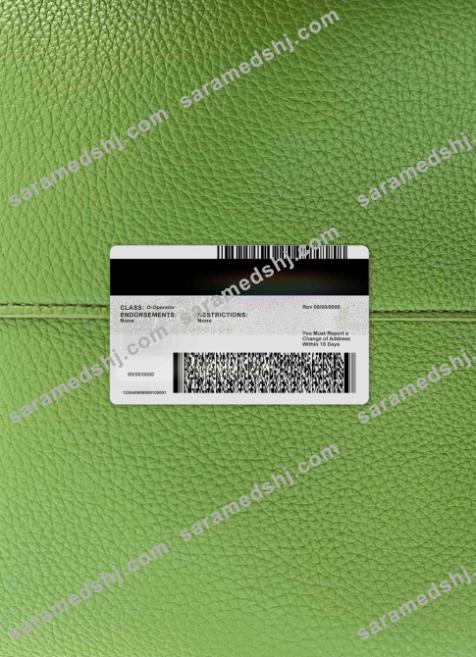 USA Arizona Driver License photolook BACK